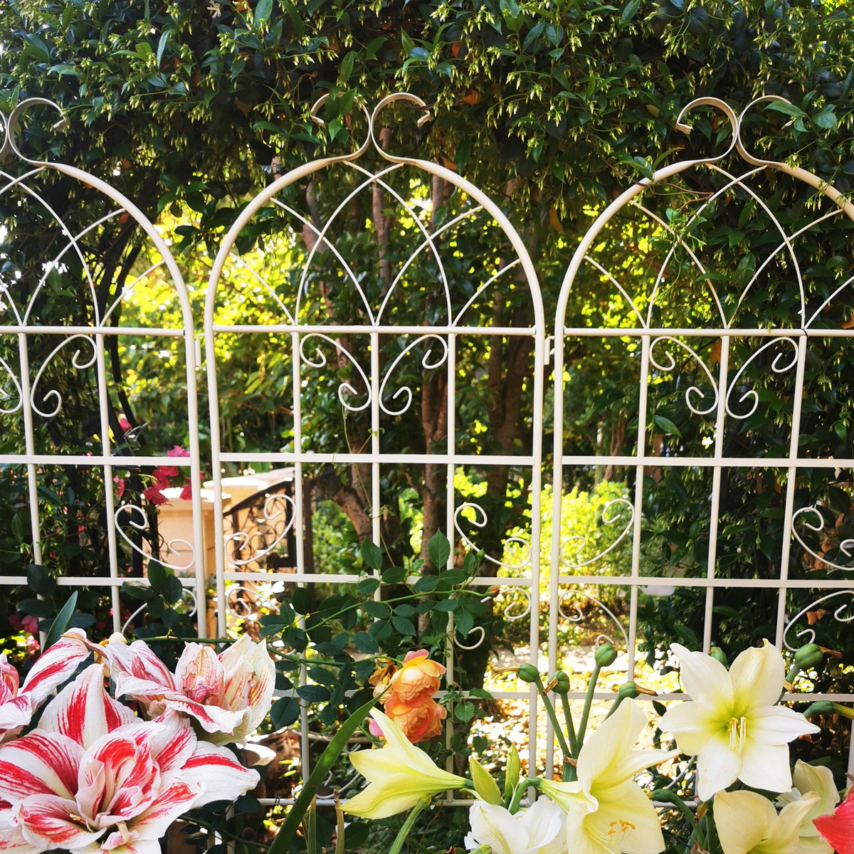 2 Pack Metal Garden Trellis 71" x 19.7" Rustproof Trellis for Climbing Plants Outdoor Flower Support Cream White – Model W1586P147428