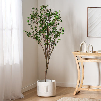 Flowers & Plants
