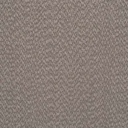 21007982