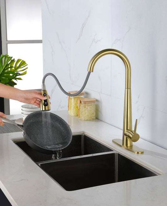 Kitchen Faucet with Pull Down Sprayer, High Arc Single Handle Kitchen Sink Faucet with Deck Plate