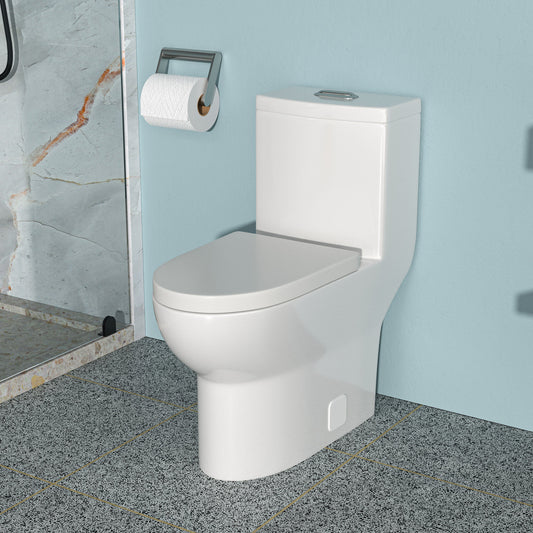 Ceramic One Piece Toilet, Dual Flush with Soft Clsoing Seat
