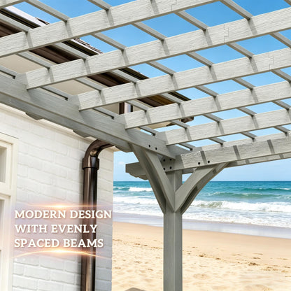 25165359