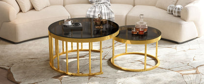 Round Nesting Coffee Table Set of 2, Modern Gold Metal Frame Circular Cocktail Table, Tempered Glass Top Accent Nesting Tables for Living Room, Apartment