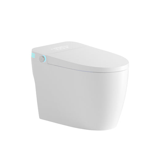 Tankless Smart Toilet With Bidet Built In, One-piece Bidet Toilet Seat, Auto Flush, Auto Open/Close,Heated Seat, Warm Water and Dry, Adjustable Temp,Remote Control Side Know