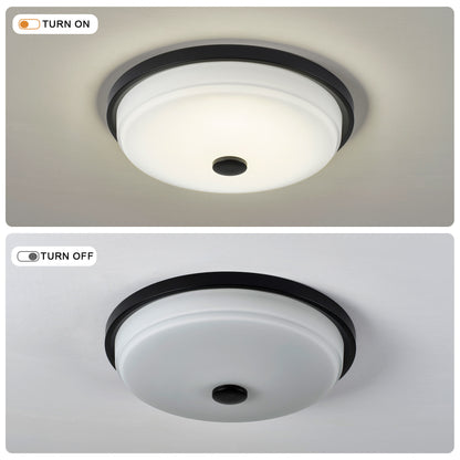 14.37" x 14.37" x 3.54" LED Flush Mount Ceiling Light, 25W Remote Stepless Dimmable Ceiling Lamp, RA>90, Metal Body & Glass Shade