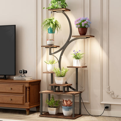 25152292