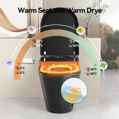 Smart Bidet Toilet with Auto Open/Close Seat, Warm Water Wash, Heated Seat, and Dryer in Black Ceramic, One-Piece Design
