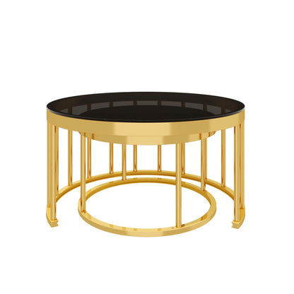 Round Nesting Coffee Table Set of 2, Modern Gold Metal Frame Circular Cocktail Table, Tempered Glass Top Accent Nesting Tables for Living Room, Apartment