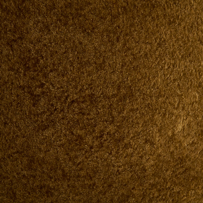 25149559