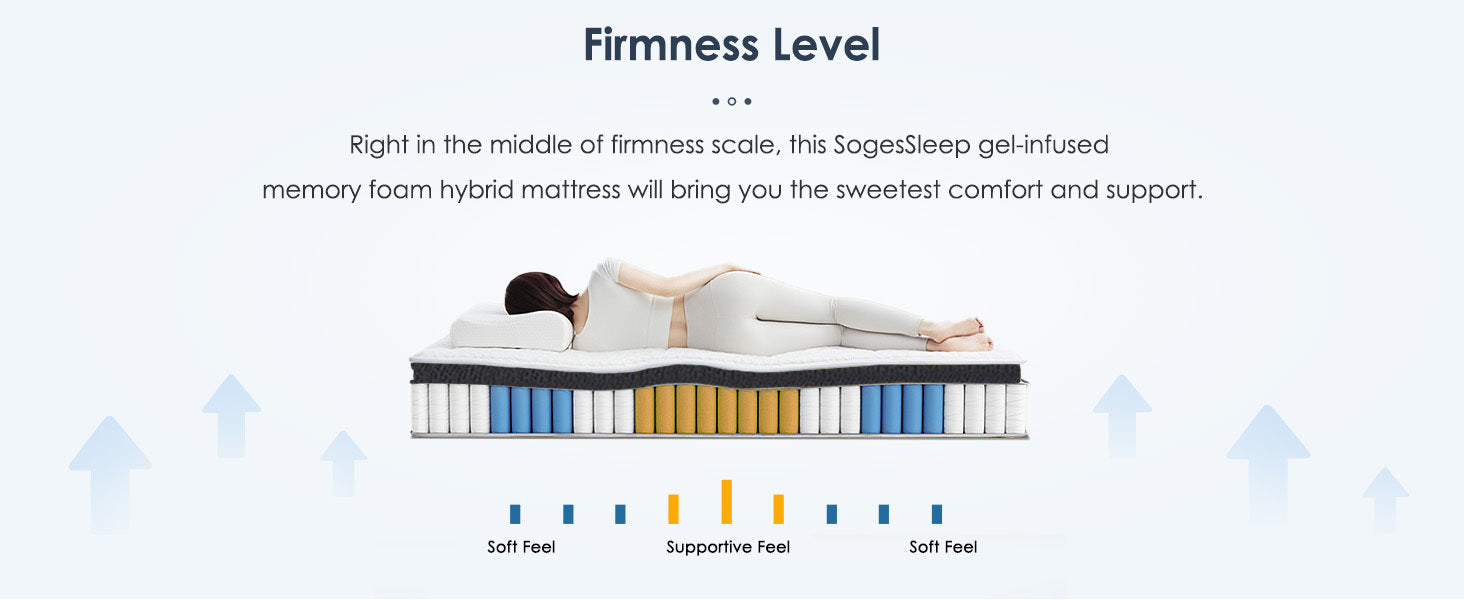 25134622
