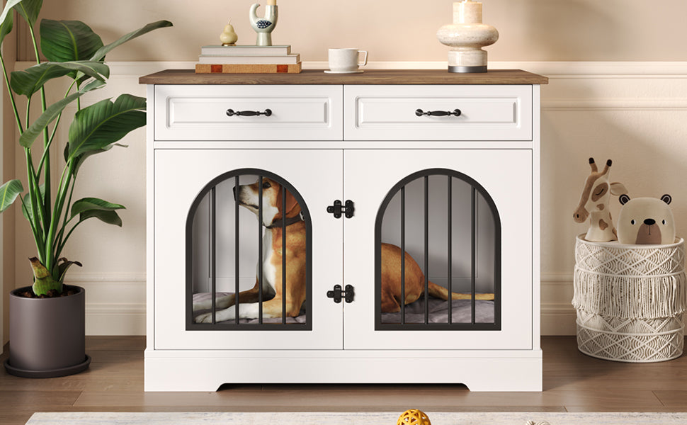 25161976