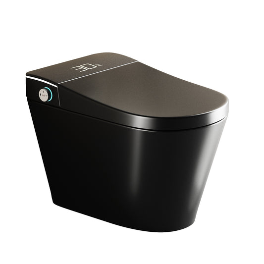 Smart Bidet Toilet with Auto Open/Close Seat, Warm Water Wash, Heated Seat, and Dryer in Black Ceramic, One-Piece Design
