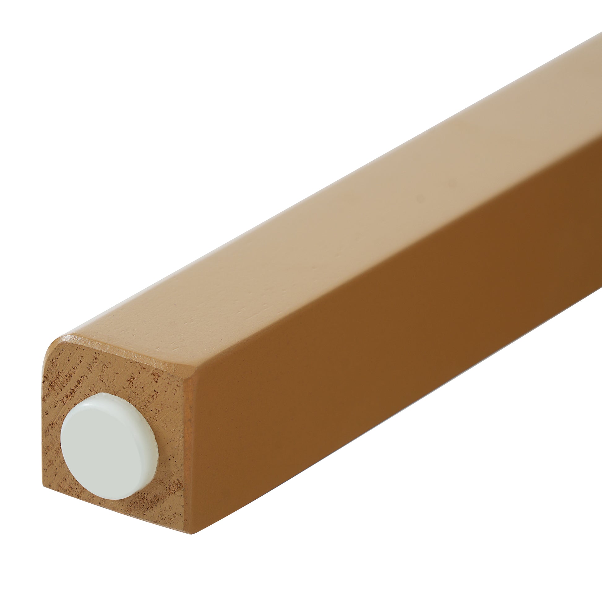 25138058