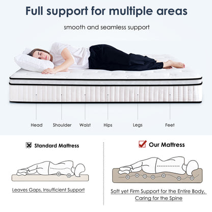 25134285