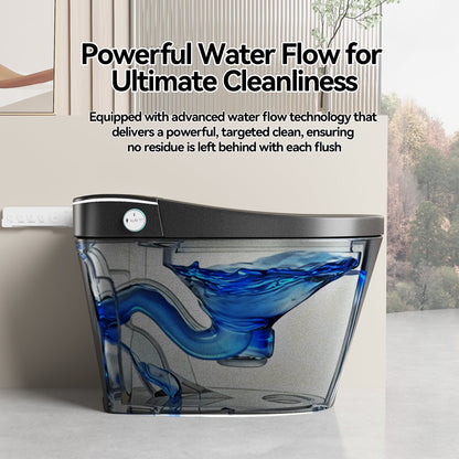 Smart Bidet Toilet with Auto Open/Close Seat, Warm Water Wash, Heated Seat, and Dryer in Black Ceramic, One-Piece Design