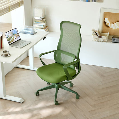 Ergonomic Colorful Office Chair 350LBS Home Office Mesh Breathable High Back, With Adjustable Lumbar Support Computer Chair - Green