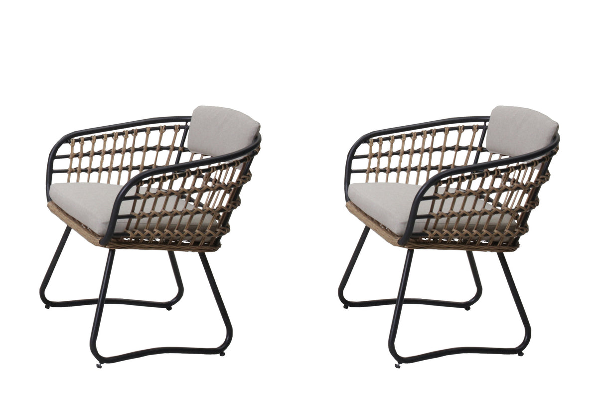 Beige PE Rattan Dining Chairs Set of 2 with Cushions, Outdoor Wicker Armchairs for Garden, Lawn, Poolside, Backyard, Porch