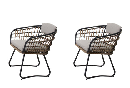 Beige PE Rattan Dining Chairs Set of 2 with Cushions, Outdoor Wicker Armchairs for Garden, Lawn, Poolside, Backyard, Porch