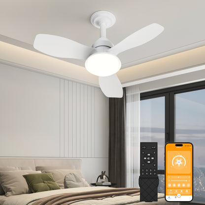 24.4' White Ceiling Fan with Light, 3 Blades, 6-Speed Reversible Quiet DC Motor, Dimmable LED, APP & Remote Control, Flush Mount for Bedroom Living Room Covered Patio