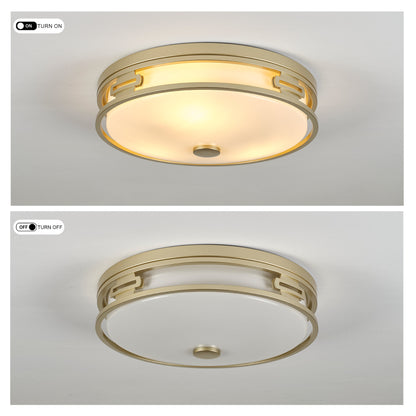 16 inch Gold Flush Mount Ceiling Light, Modern Transitional Round Close to Ceiling Lamp with Frosted Diffuser Shade, Indoor Ceiling Light Fixture for Kitchen Stairway Bedroom