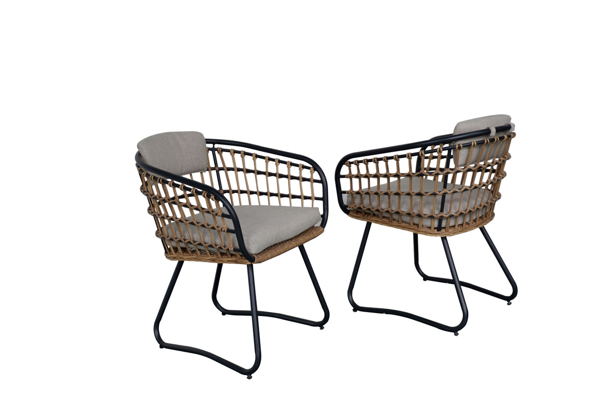 Beige PE Rattan Dining Chairs Set of 2 with Cushions, Outdoor Wicker Armchairs for Garden, Lawn, Poolside, Backyard, Porch
