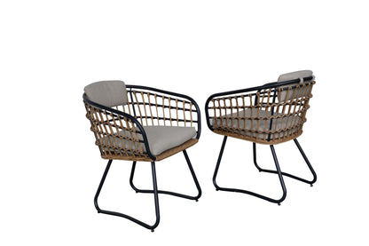 Beige PE Rattan Dining Chairs Set of 2 with Cushions, Outdoor Wicker Armchairs for Garden, Lawn, Poolside, Backyard, Porch