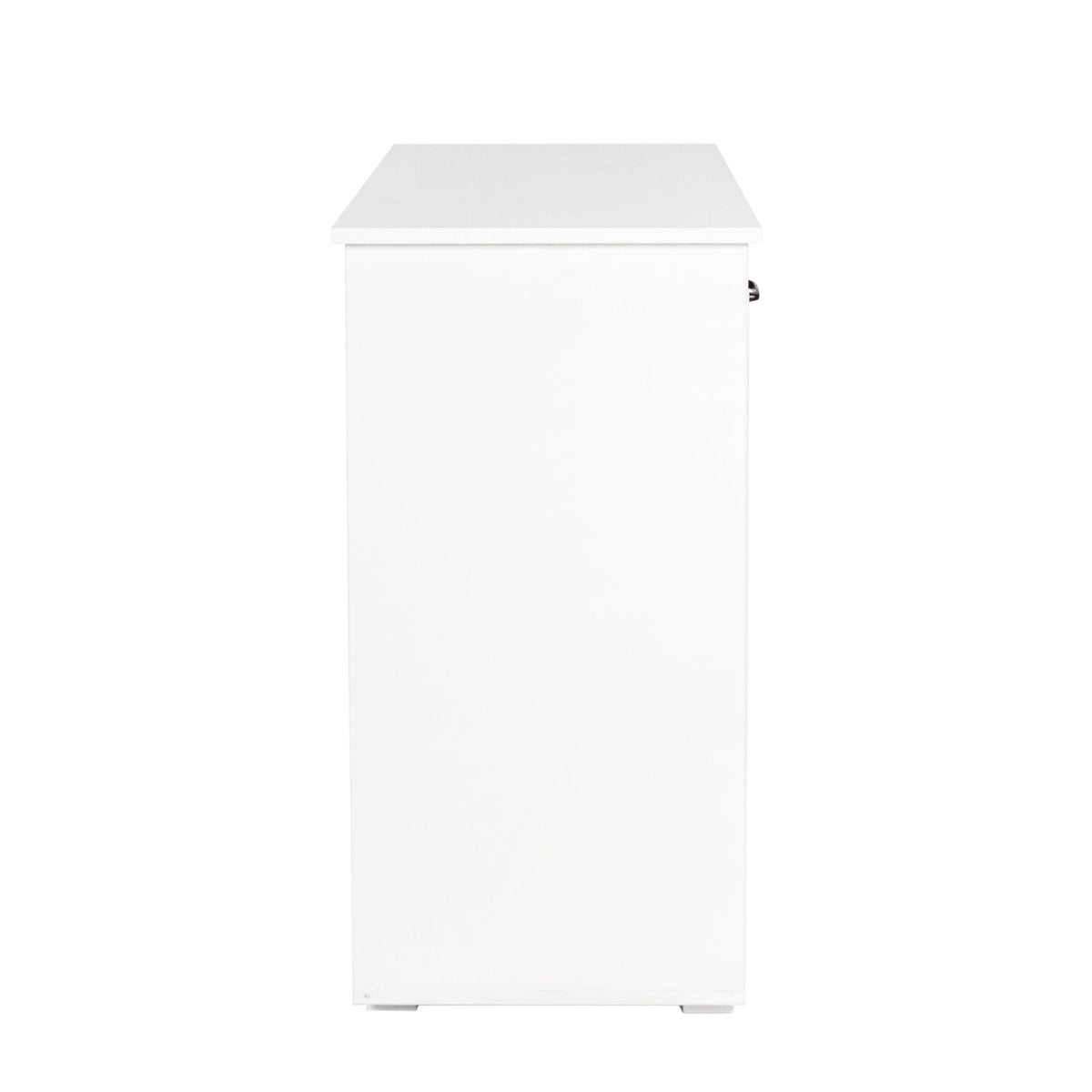 Laundry Cabinet, with 2 Removable Liner Bags