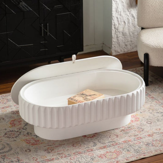 Fluted Storage Table with Lift-Off Lid, Sleek Texture, Perfect for Modern Living – Model W3081P389037