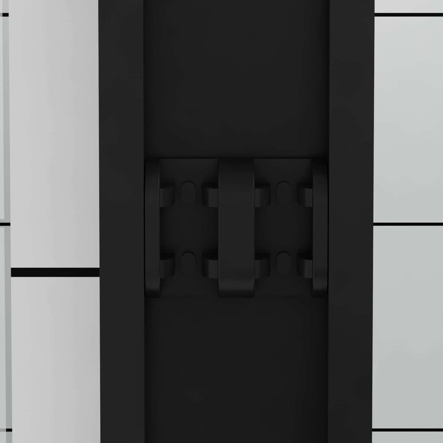 25160081