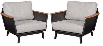 Mesh Modern Accent Chair Set of 2