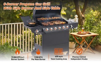 25166317