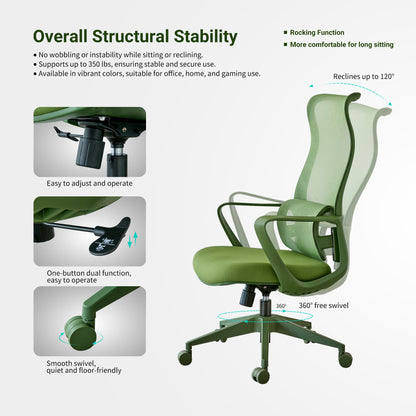 Ergonomic Colorful Office Chair 350LBS Home Office Mesh Breathable High Back, With Adjustable Lumbar Support Computer Chair - Green