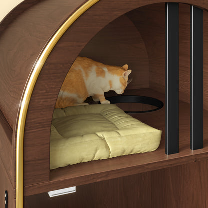 25161877
