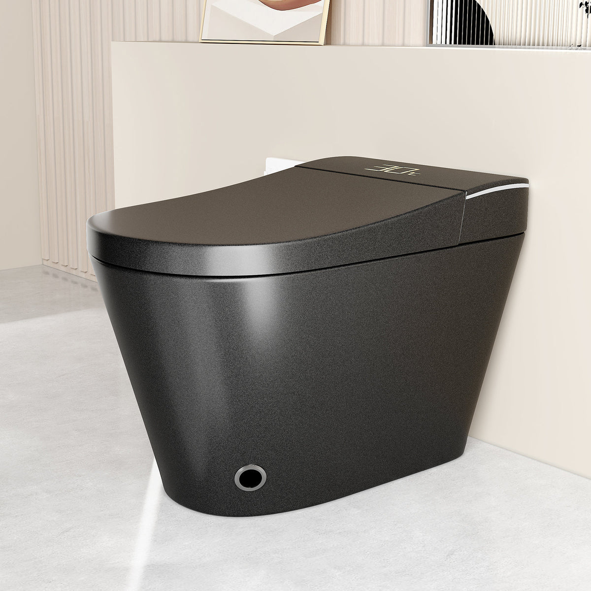 Smart Bidet Toilet with Auto Open/Close Seat, Warm Water Wash, Heated Seat, and Dryer in Black Ceramic, One-Piece Design