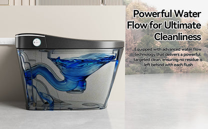 Smart Bidet Toilet with Auto Open/Close Seat, Warm Water Wash, Heated Seat, and Dryer in Black Ceramic, One-Piece Design