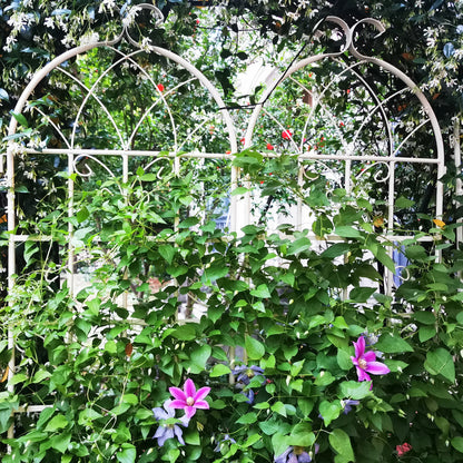 2 Pack Metal Garden Trellis 71" x 19.7" Rustproof Trellis for Climbing Plants Outdoor Flower Support Cream White – Model W1586P147428