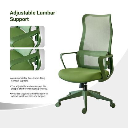 Ergonomic Colorful Office Chair 350LBS Home Office Mesh Breathable High Back, With Adjustable Lumbar Support Computer Chair - Green