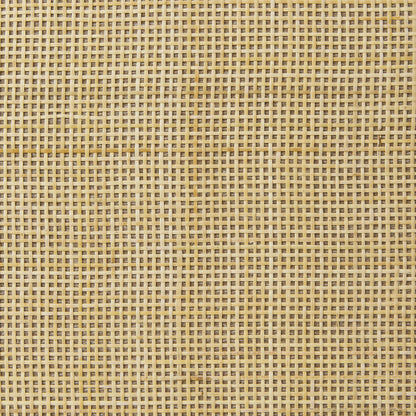 20816199