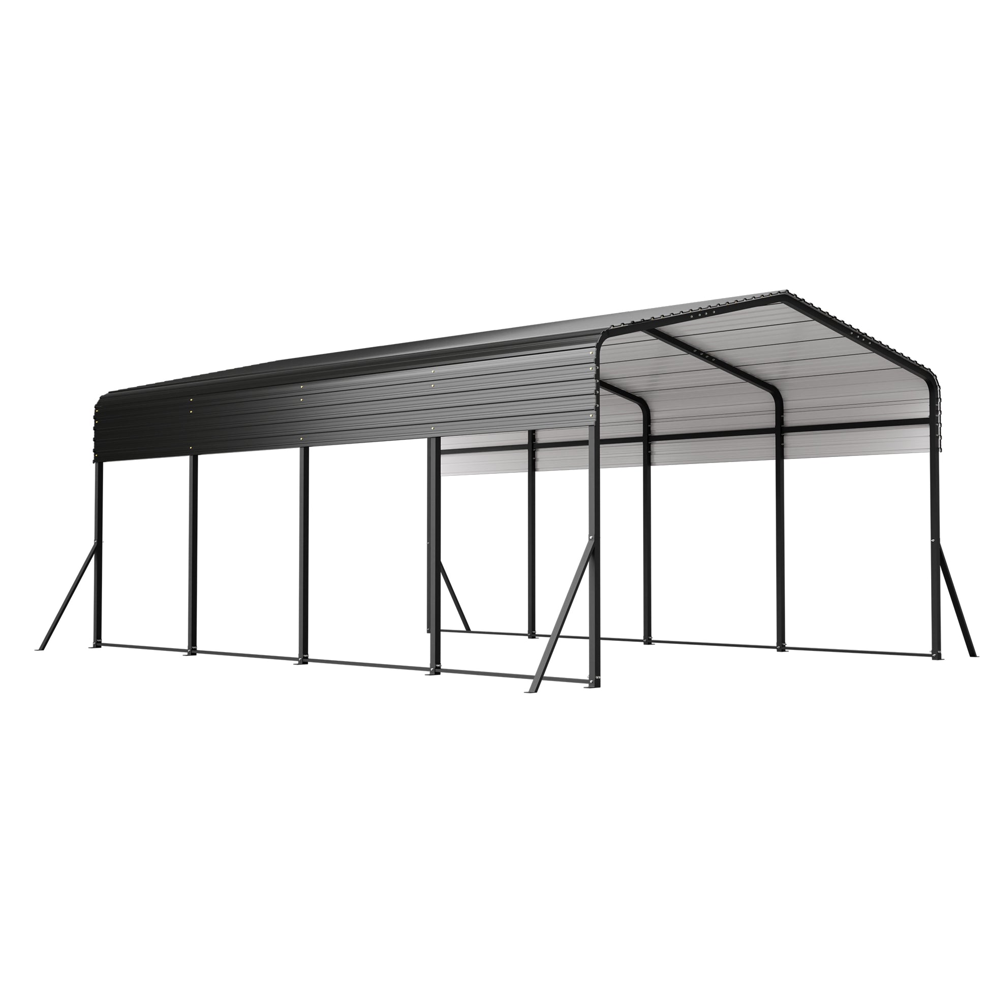 25165019