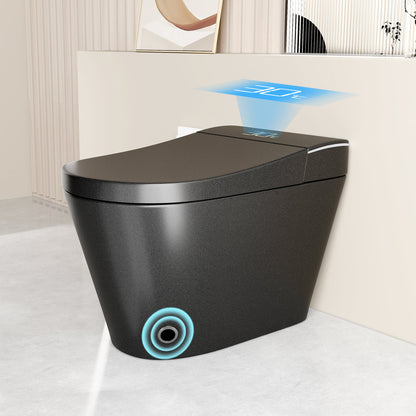 Smart Bidet Toilet with Auto Open/Close Seat, Warm Water Wash, Heated Seat, and Dryer in Black Ceramic, One-Piece Design