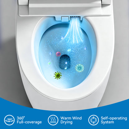 Smart Toilets with Heated Bidet Seat.Portable toilet with bidet built.Intelligent Toilet Auto Open/Close Seat. Bidet toilet with Dryer and Warm Water