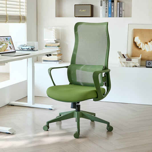 Ergonomic Colorful Office Chair 350LBS Home Office Mesh Breathable High Back, With Adjustable Lumbar Support Computer Chair - Green