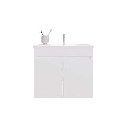 Bathroom Vanity with Sink, 2 Doors, 2 Shelves