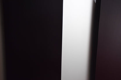 36 x 80 Inch FRP Door with Frosted Glass and Low-E Glass - Contemporary Style for Home's Front Entrance, Right Hand Inswing, Black Brush Fiber Reinforced Panel Door